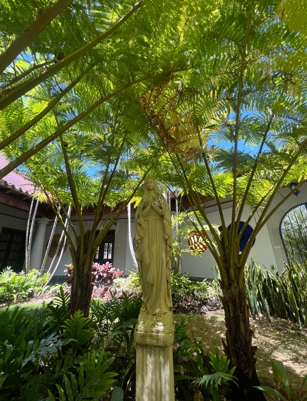 Imagen del jardín interno de la CTIVE